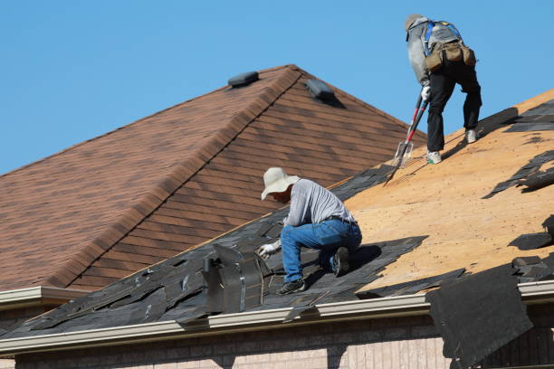 Best Roof Maintenance  in Rushvle, IL